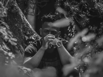 Lifa's photography